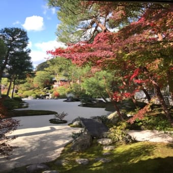 島根に行ってきました