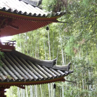 矢田三山、松尾寺・金剛山寺・東明寺へ