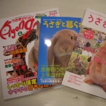 うさぎ界①雑誌