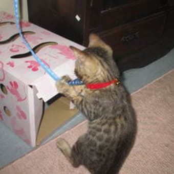 ヒモ狙い