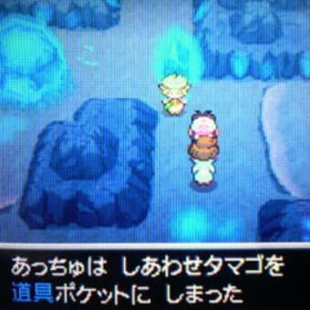 ポケモン ブラック ホワイト しあわせタマゴ Room Of Accyu