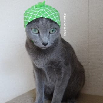 ろしフルーツちゃん。