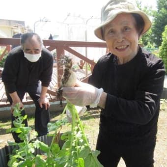 ☆彡小規模多機能かをる6月活動報告☆彡