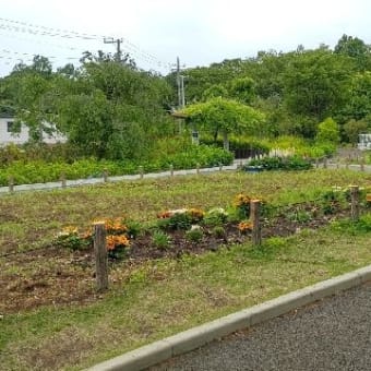 友人宅まで自転車散歩　経堂から杉並・宮前