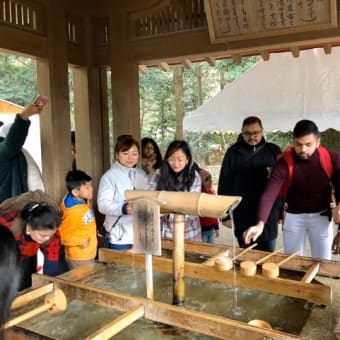 the winter solstice（冬至）
