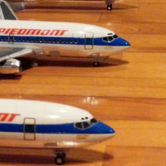 my hobby life ピードモント航空