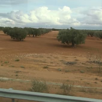 チュニジア旅行（９）：車窓風景　再掲