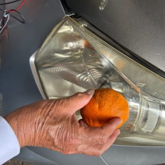何かで見たレモンに粉洗剤でを試してみた