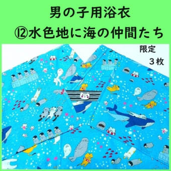 ２０２４年新作浴衣