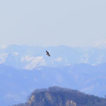 雪山バックに