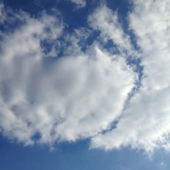 秋晴