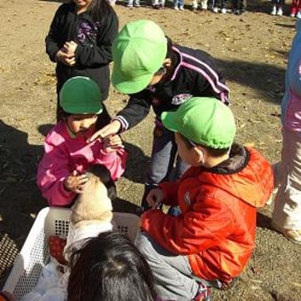 Ｓ保育所交流活動