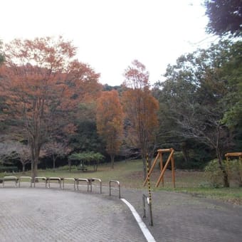 晩秋の鎌倉；日比谷花壇大船フラワーセンター・大船駅・鎌倉中央公園周遊（前編）