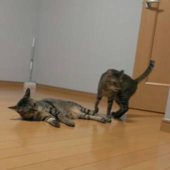 くっさ～～～