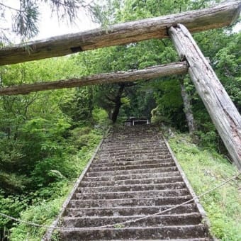 2019.5.26 黒岩山と野地峰 ＊ 白滝山村広場より周回