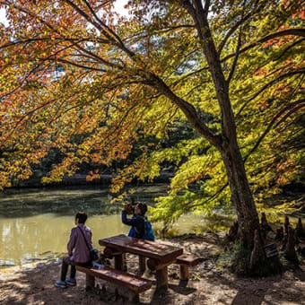 森林植物園の池回りウォッチング