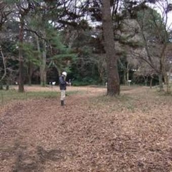 GIS事始