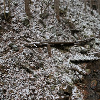 静寂な時を求めて南天山へ