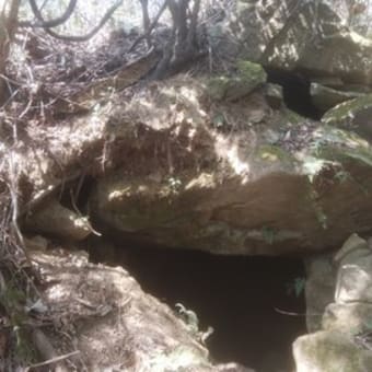 龍王山登山(4月7日)