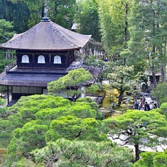 桜の道：南禅寺から銀閣寺へ　５（銀閣寺）