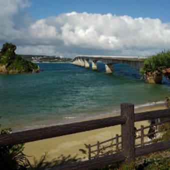 画像一覧 琵琶湖の魚になりたい