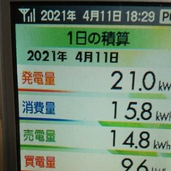 今日も今年最高を更新しました。