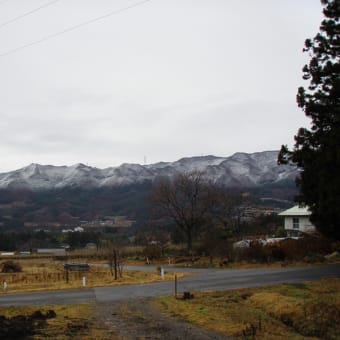 雪景色は良いナー