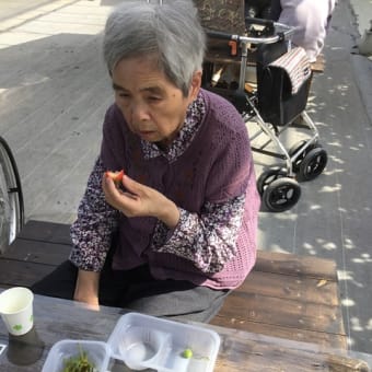 ☆いちご狩りウィーク☆