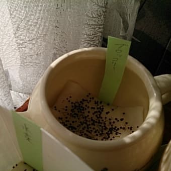 種まき(Seeding)