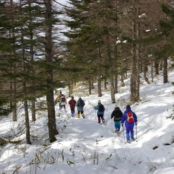 メルヘン街道のスノーシューハイクは、雪のメルヘン散歩。