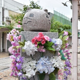あじさい偵察で、ウロウロドライブ、、、