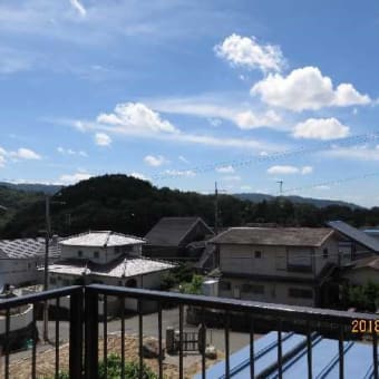 豪雨水害から梅雨（大阪）明ける