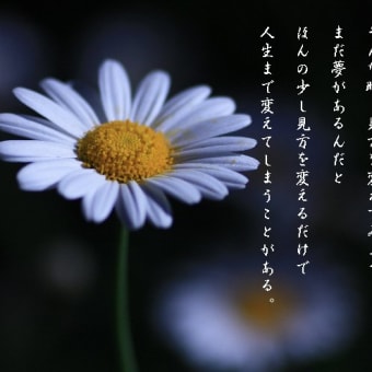Photo　Poem　－　夢　－