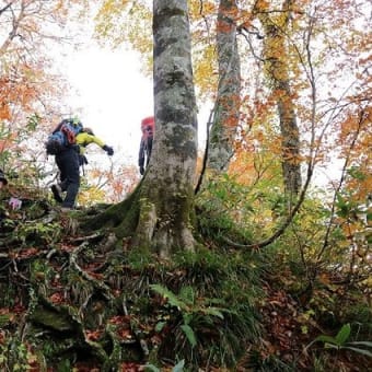 大山１　木谷登山口～駒鳥避難小屋