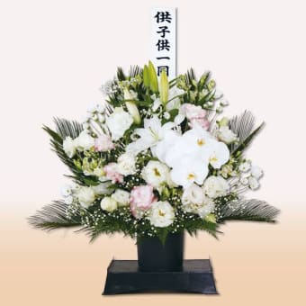 花々の眼差し