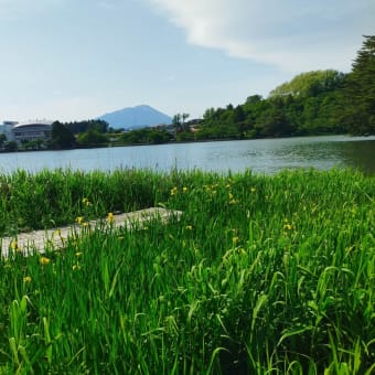 お気に入りのお散歩コース