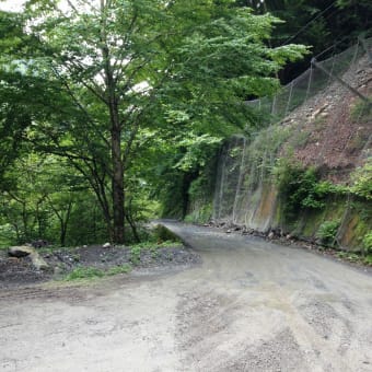 奥多摩　峰谷林道　・　日原林道