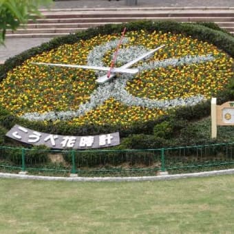神戸の「花時計」を見る