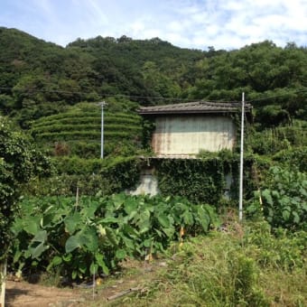 親父と仕事と私①