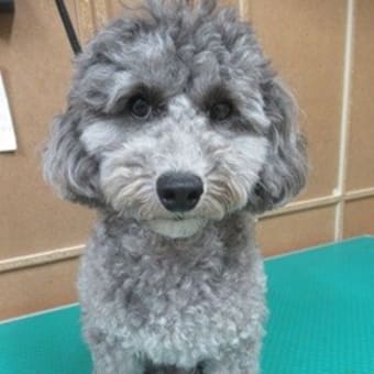 一人はスマイル、一人はどんより、、、な日