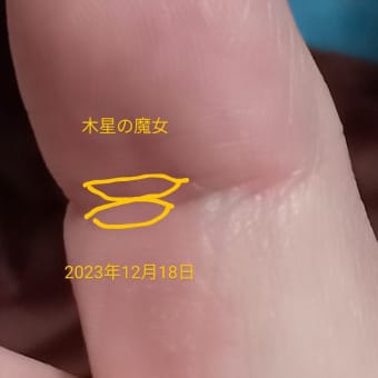 強い呪いを作ってる木星の魔女の手相。普通にダブル仏眼です。念・オーラを普通に多様して呪いをかけてきます。