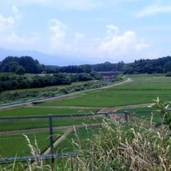 走行距離600km