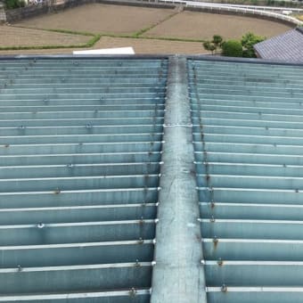 某工場屋根塗り替え工事