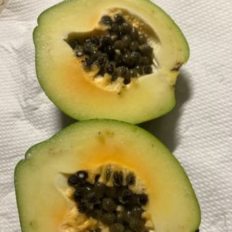 すっぽり抜け落ちた