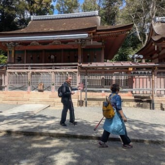 第１回ハイキング2025（石清水八幡宮、背割り堤お花見ハイキング）