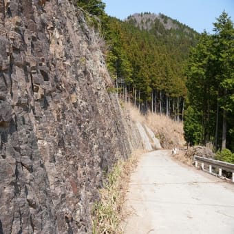 知らなかった国見山は・・・・・。
