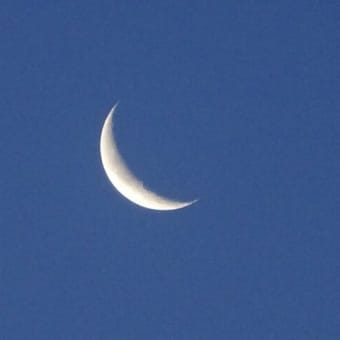 今日、都議選
