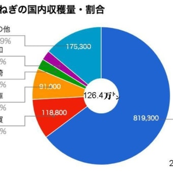 41．たまねぎ　地理総合