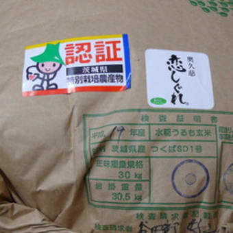 「お歳暮の時期」