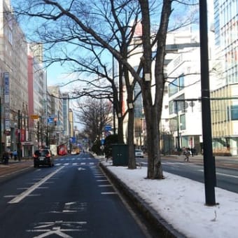 札幌雪まつりの 雪不足。